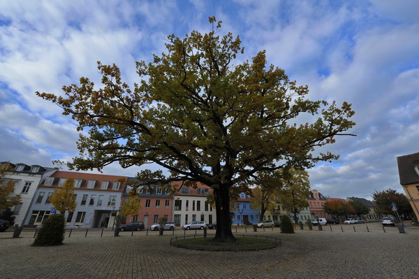 foto: franz goder - marktplatz auf der insel in werder/havel